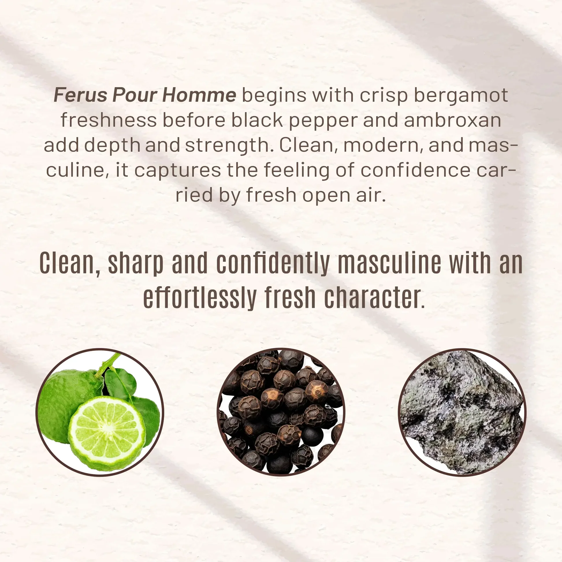 Ferus Pour Homme