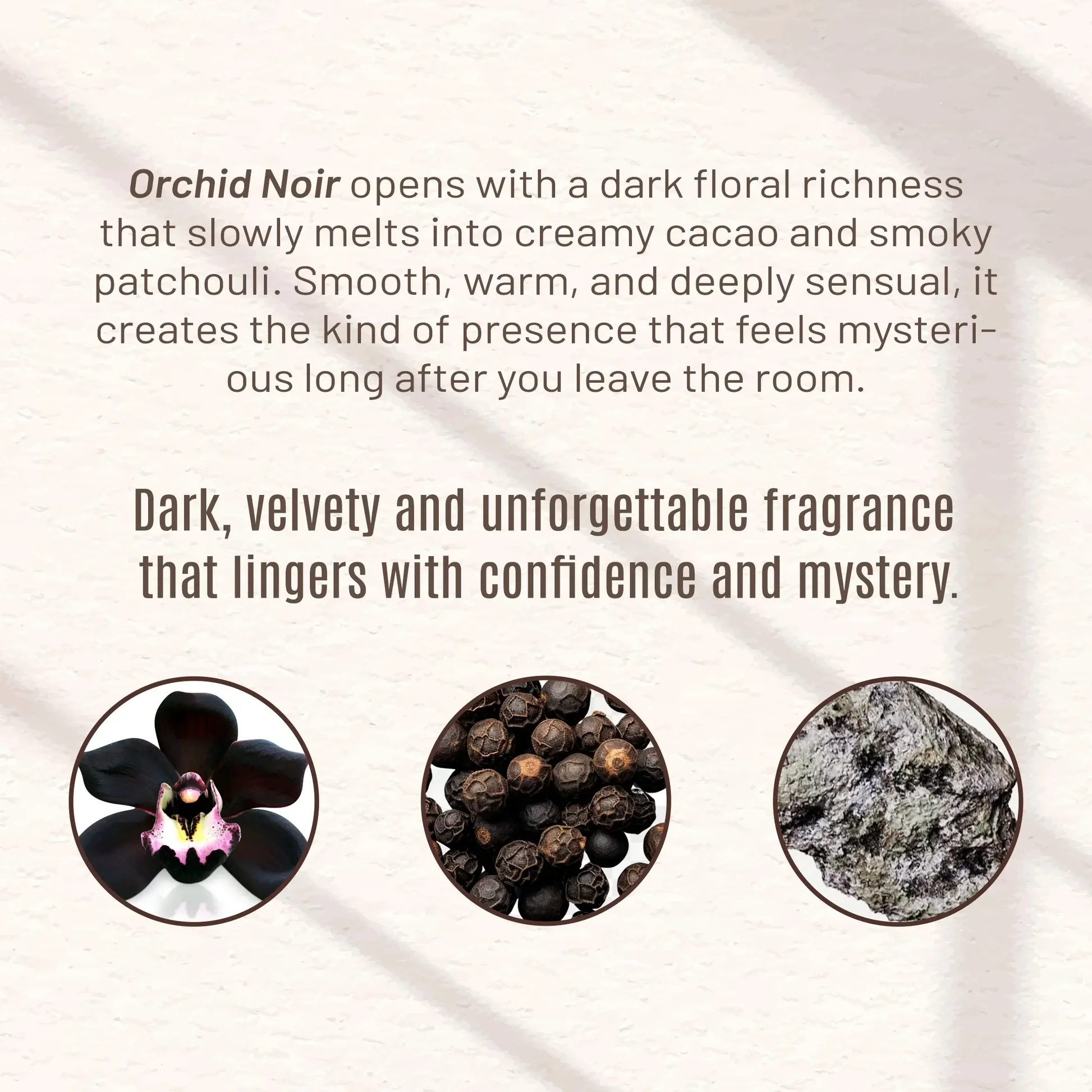 Orchid Noir